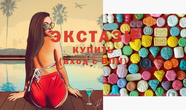 хмурый Аркадак
