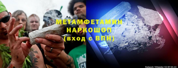 хмурый Аркадак