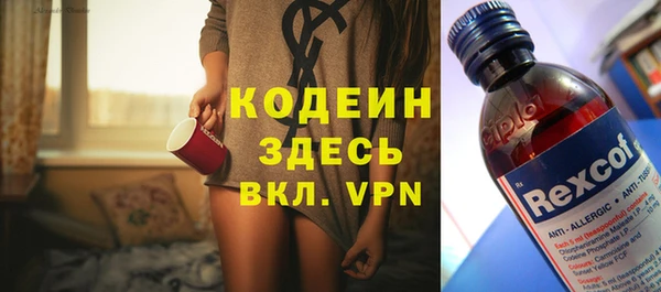 хмурый Аркадак