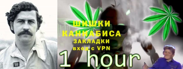хмурый Аркадак