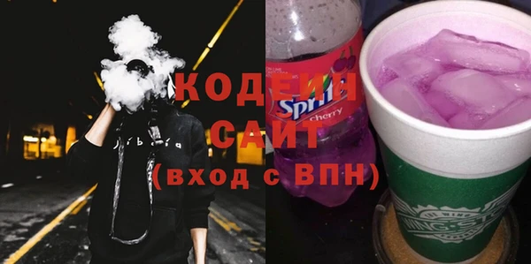 хмурый Аркадак