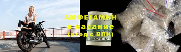 хмурый Аркадак