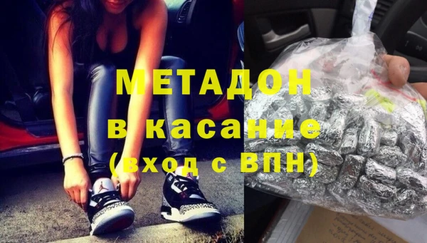хмурый Аркадак