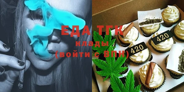 хмурый Аркадак