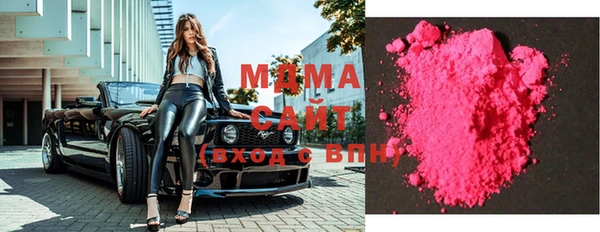 хмурый Аркадак