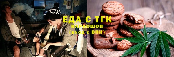 хмурый Аркадак