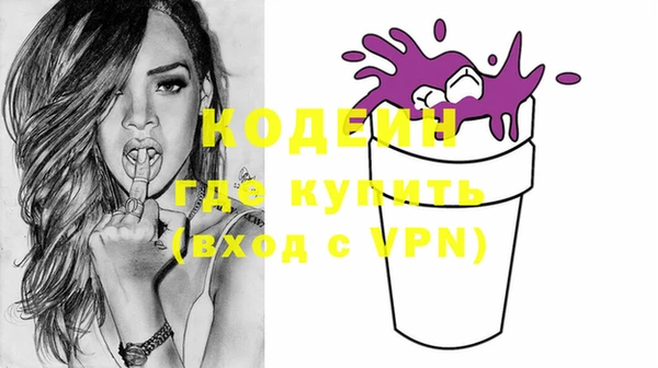 хмурый Аркадак