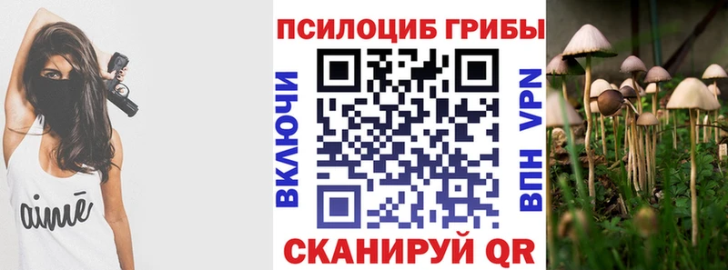 Купить  Сухиничи  Псилоцибиновые грибы прущие грибы 