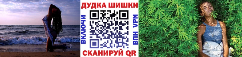 Купить  Сухиничи  Бошки марихуана сатива 